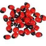 عين عفريت للبخور 125جرام من استبراق